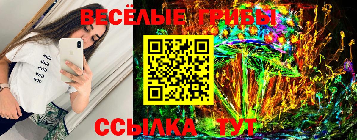 Галлюциногенные грибы мицелий  Вход с VPN  Куйбышев  Галлюциногенные грибы Psilocybine cubensis 